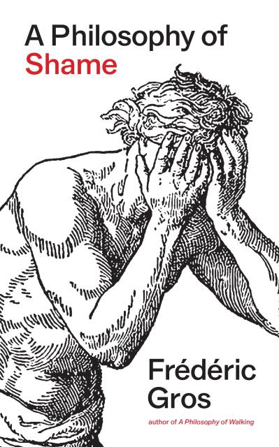 A Philosophy of Shame (Hardcover)